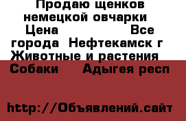 Продаю щенков немецкой овчарки › Цена ­ 5000-6000 - Все города, Нефтекамск г. Животные и растения » Собаки   . Адыгея респ.